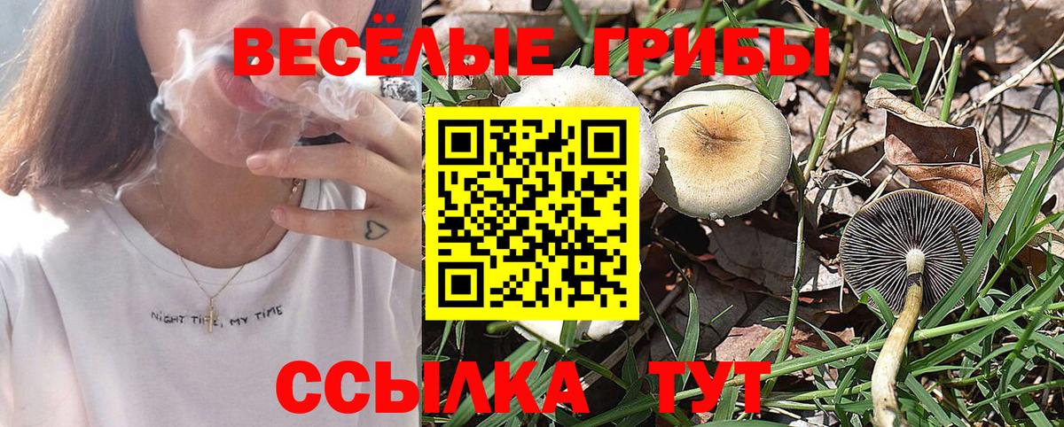Псилоцибиновые грибы прущие грибы  Галлюциногенные грибы Magic Shrooms  наркота  Вход с VPN  Санкт-Петербург 